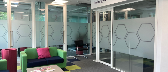 Frost and Privacy Screen